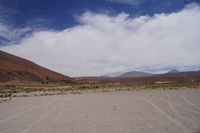
DSC00297